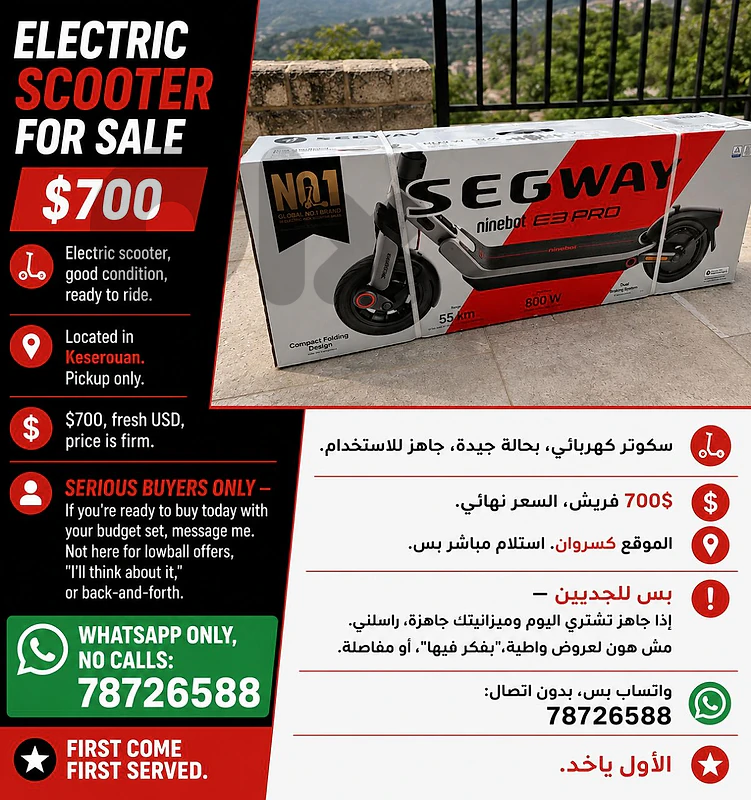 electric scooter