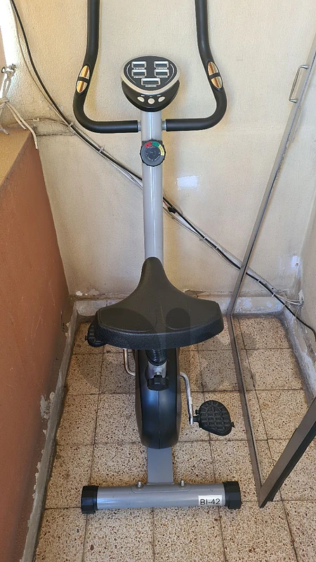 Magnetic bike