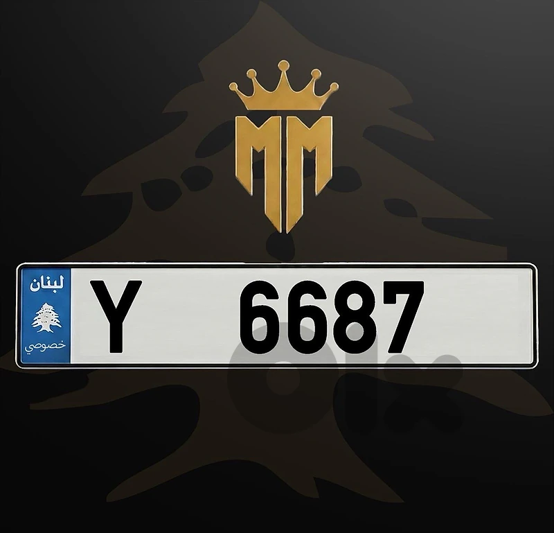 Y 6687