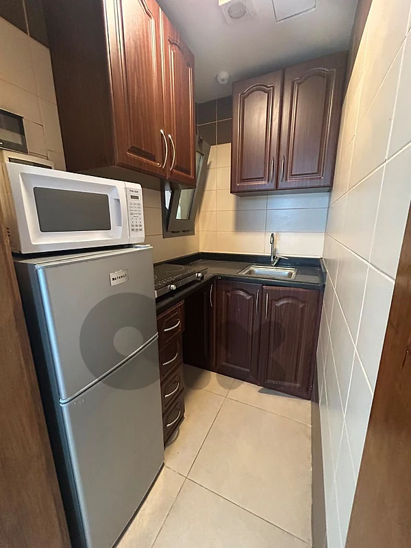 furnished one bedroom apt for rent