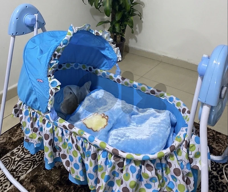 Blue Bed