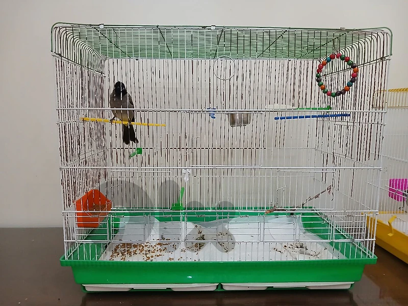 used bird's cage