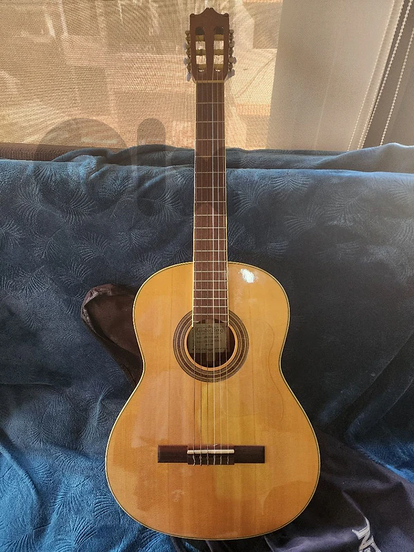 Guitar