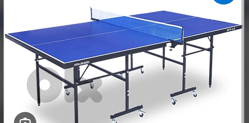 pingpong table