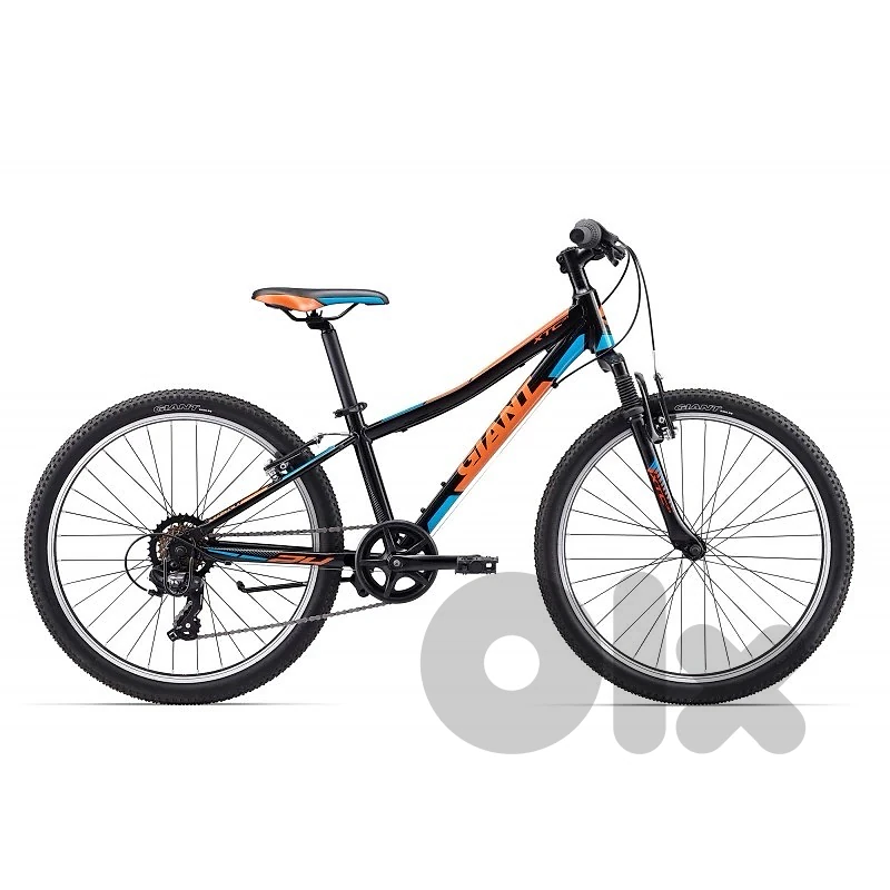 Bicycle Giant Bicycle Giant