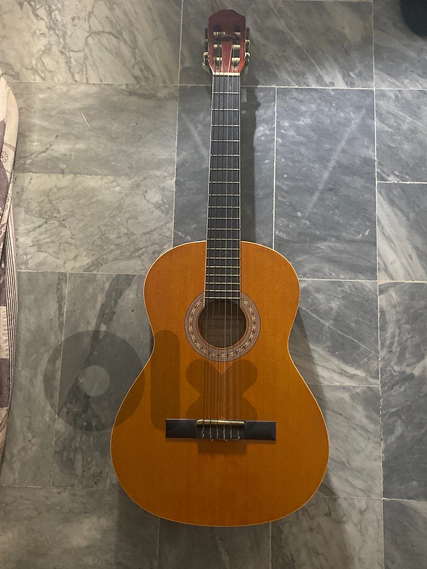 Hans Hoffmann classical (nylon-string) guitar Hans Hoffmann classical (nylon-string) guitar