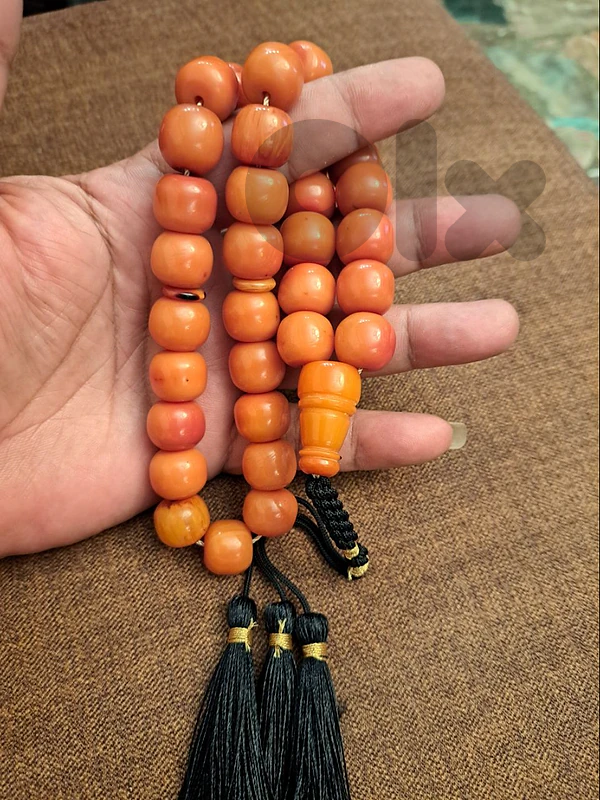 لبنان طرابلس
