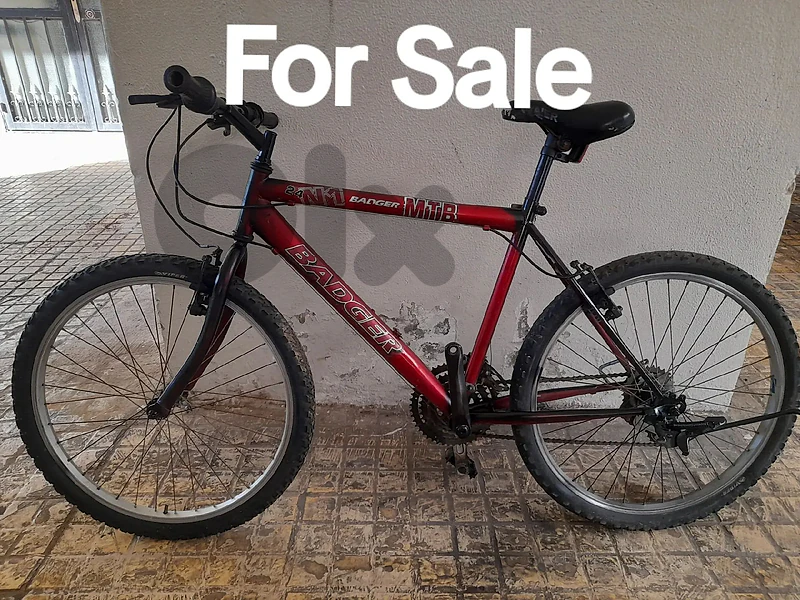 Bike Badger 24 inch