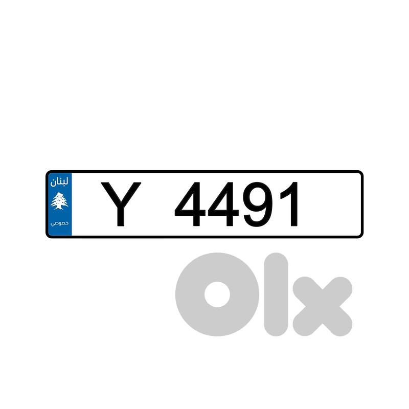 4491 Y — SPECIAL 4 DIGITS