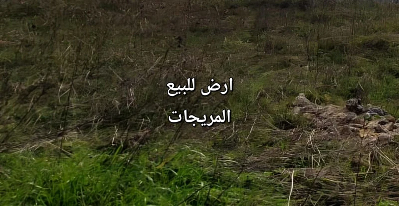Land for sale Mrayjet ارض للبيع المريجات