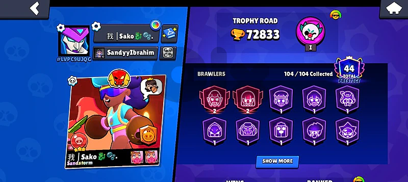 brawl stars account with rare skins and  5 brawl passes and 1 pro pass
