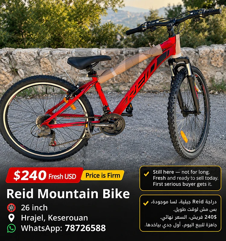 Reid mountain bike