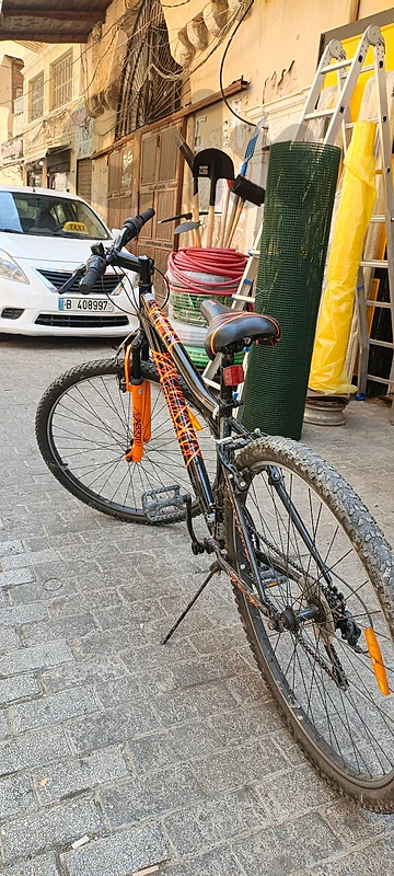 bicycle 29in