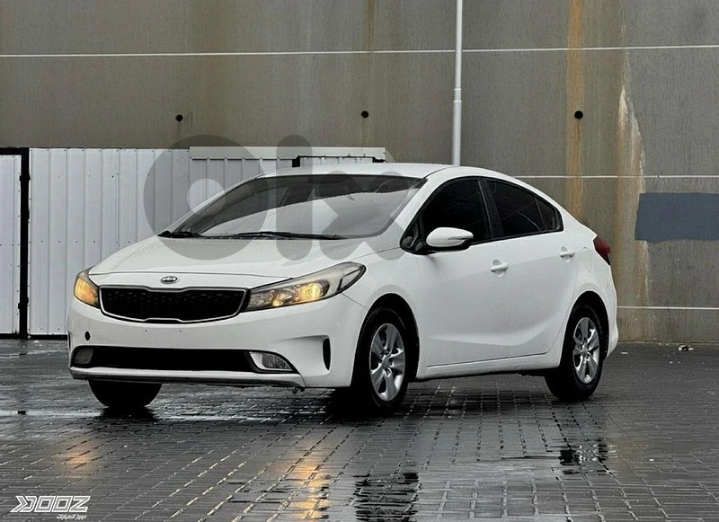 cars for rent with delivery
