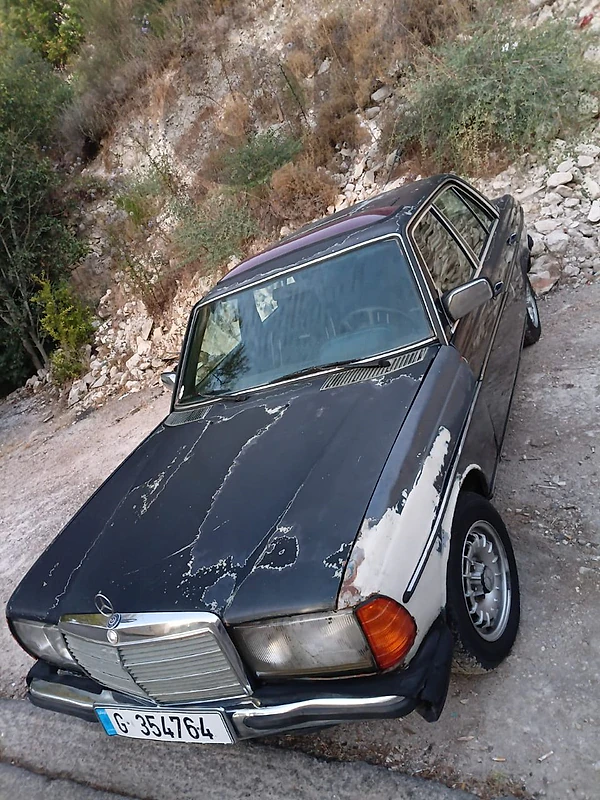 Mercedes-Benz 200 Series 1981 mercedes 230