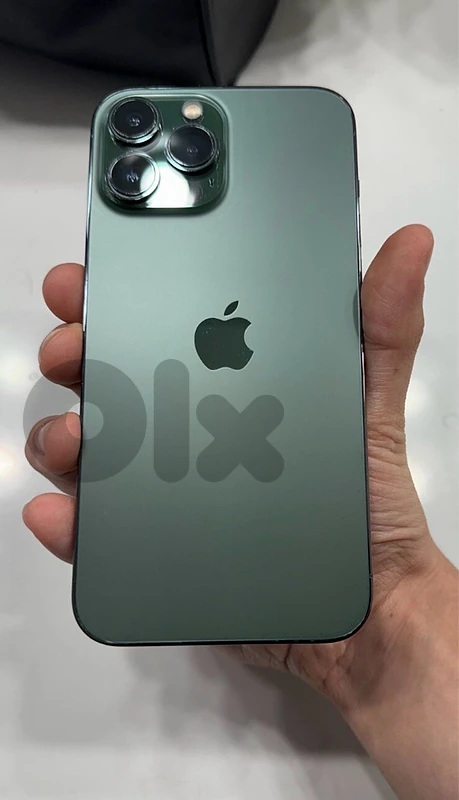 13 pro max
