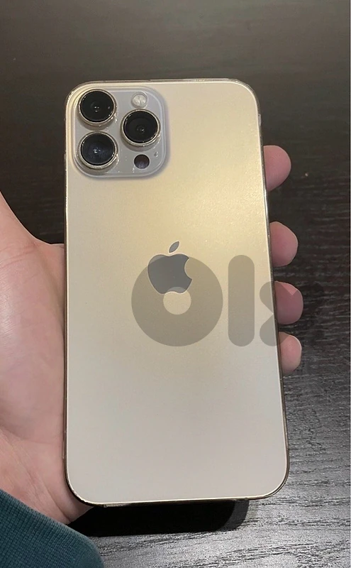 13 pro max