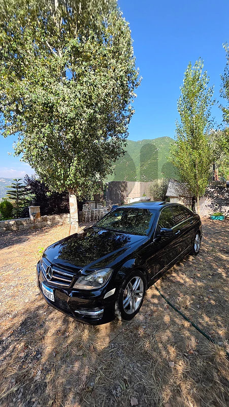 Mercedes-Benz C-Class 2014 Mercedes C250 2014