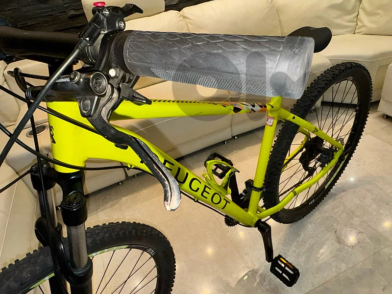 Peugeot Bicycle