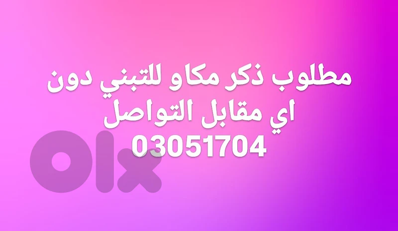 مطلوب ذكر مكاو للتبني دون اي مقابل