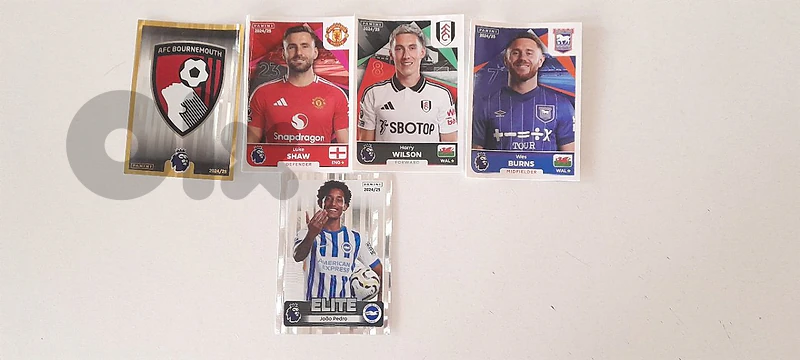 panini sticker premier league 2024 -2025
