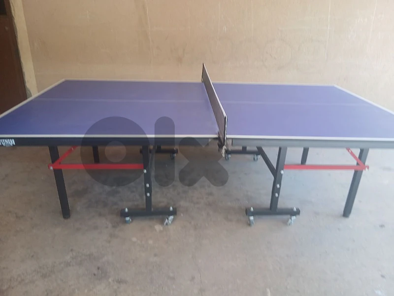 pingpong table
