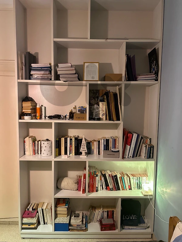 large storage/display shelving system