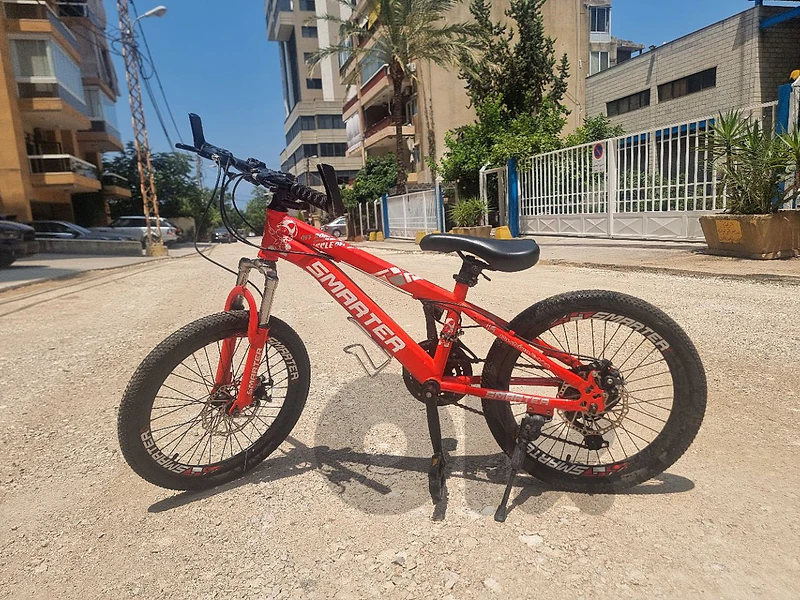 Everyday Bycicle (Prestine confition) + Water Bottle Holder