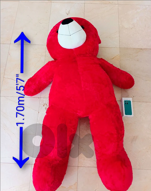 Big life sized teddy bear