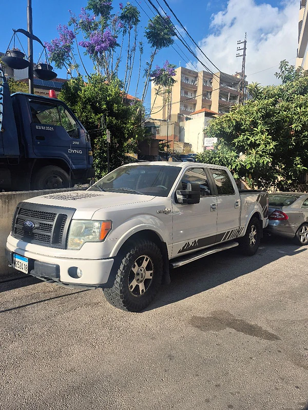 Ford F-series 2010