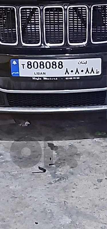 plate number