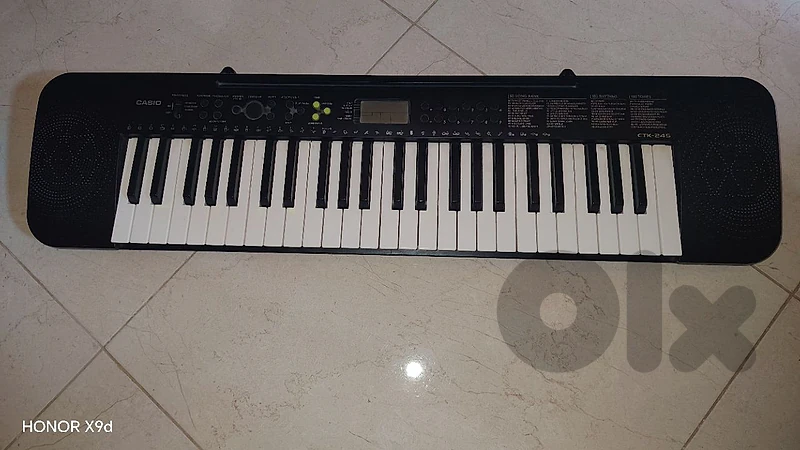 Casio CTK 245 org