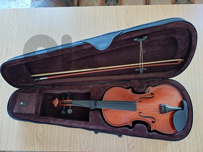 violin