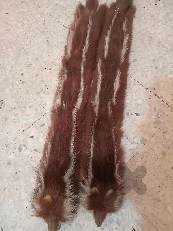 فرو طبيعي فاخر بحالة ممتازة