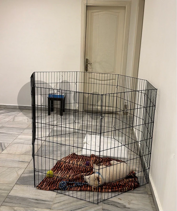 Foldable metal pet playpen 50$