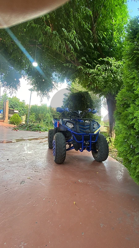 200cc 2023