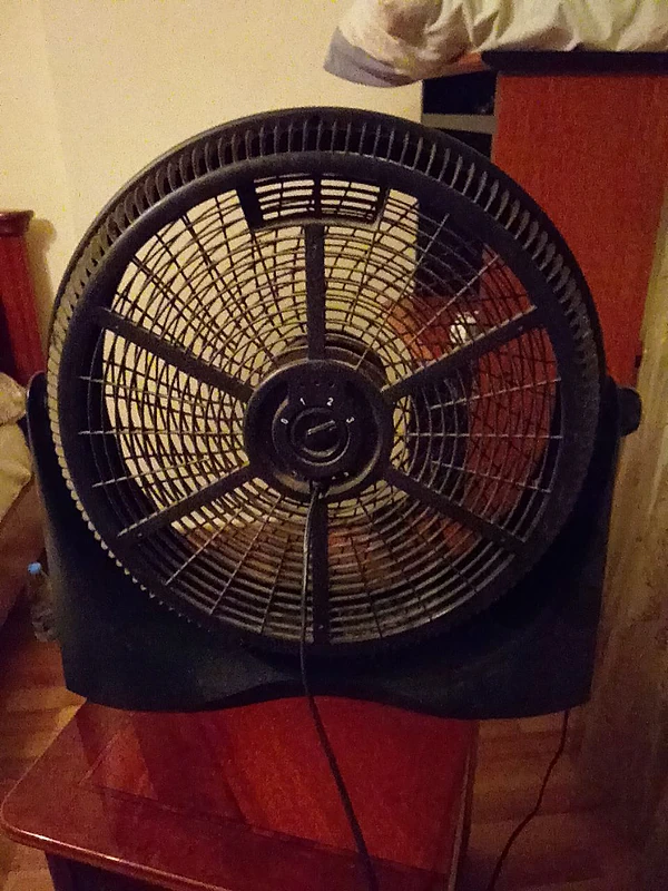 fan new