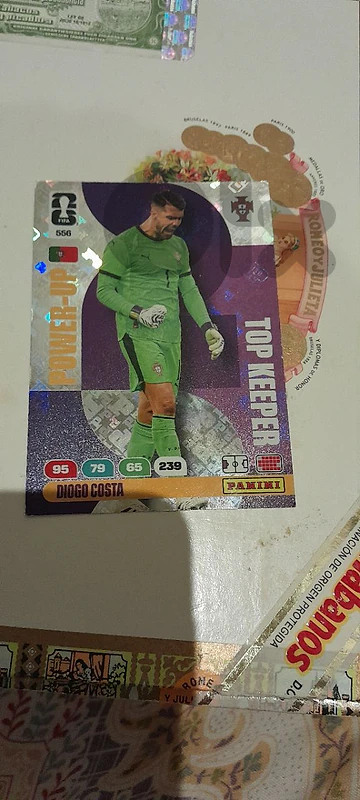 panini sticker