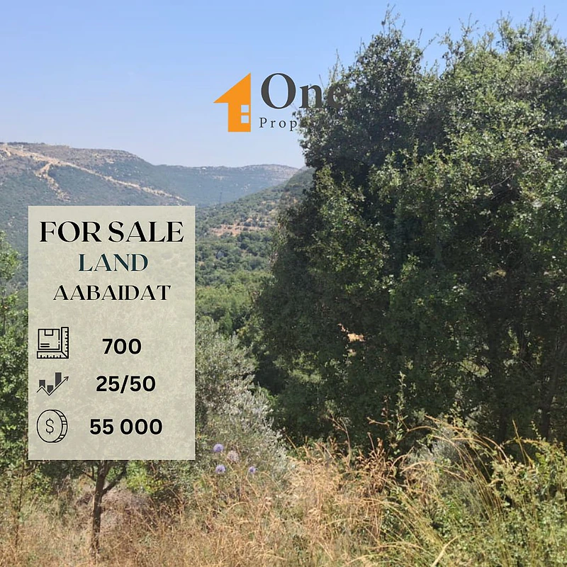 LAND FOR SALE IN AABEIDAT