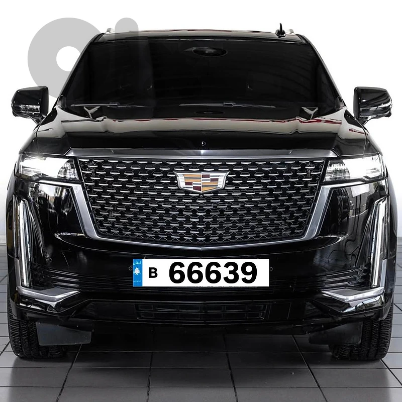 B  666 39  Special Car Plate Number Sak Tokhsis Jehez