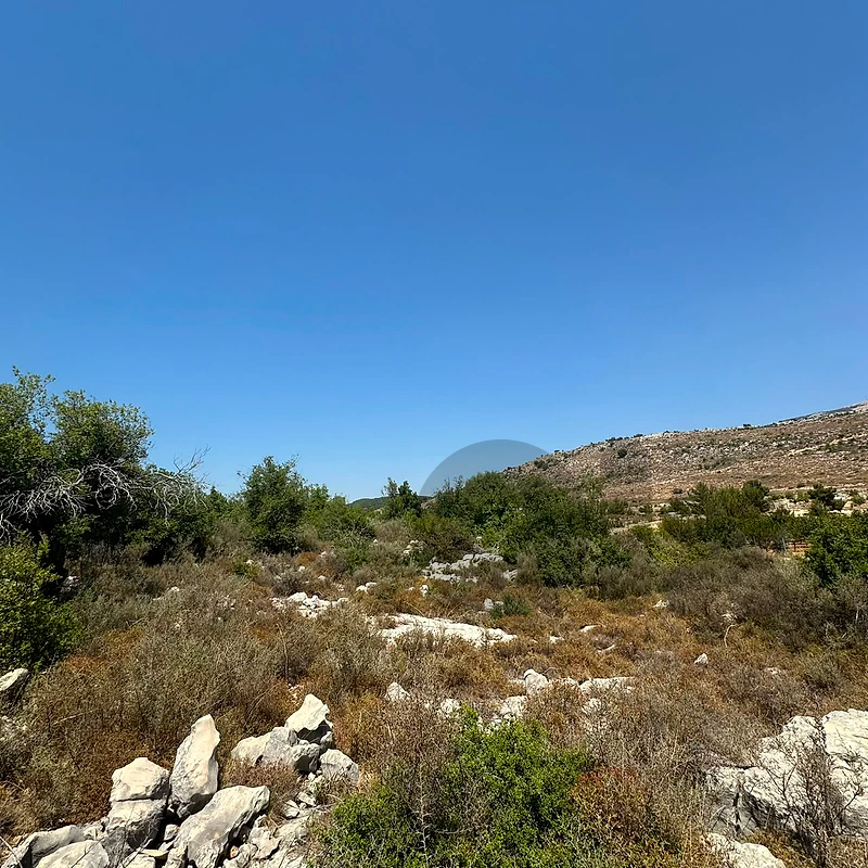 Land for sale in Botmeh Chouf عقار للبيع في بطمه الشوف