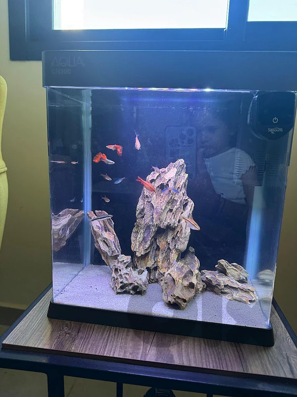 Aquarium