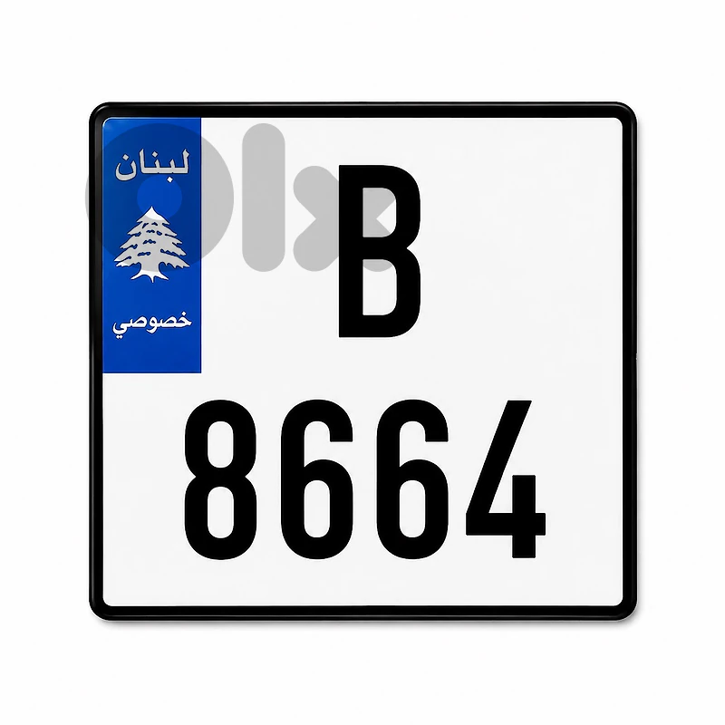 car plate 8664