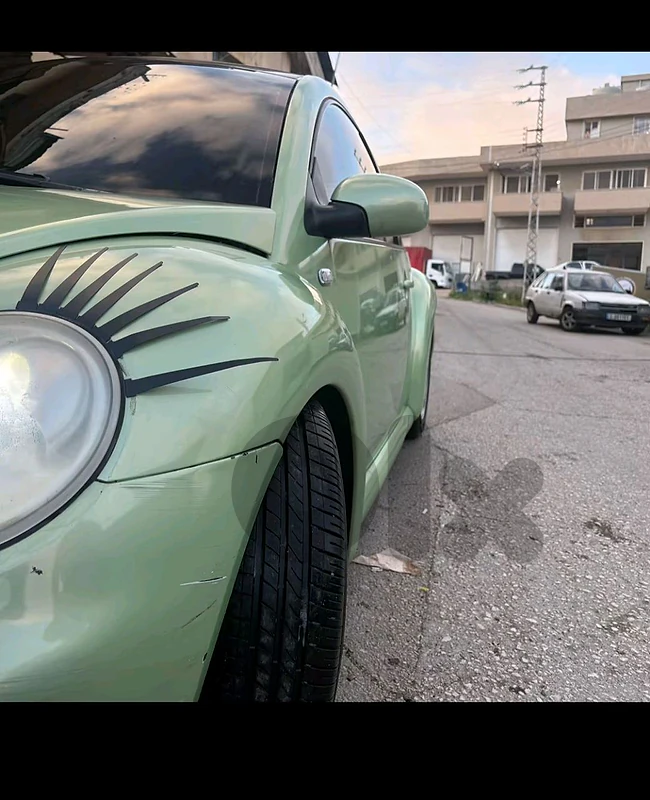 Volkswagen Beetle 2002 Volkswagen Beetle 2002