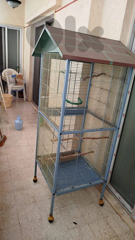 Bird cage