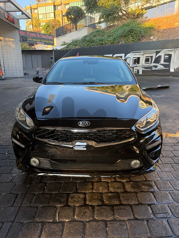 Kia Forte 2019 Lx Kia Forte 2019 Lx