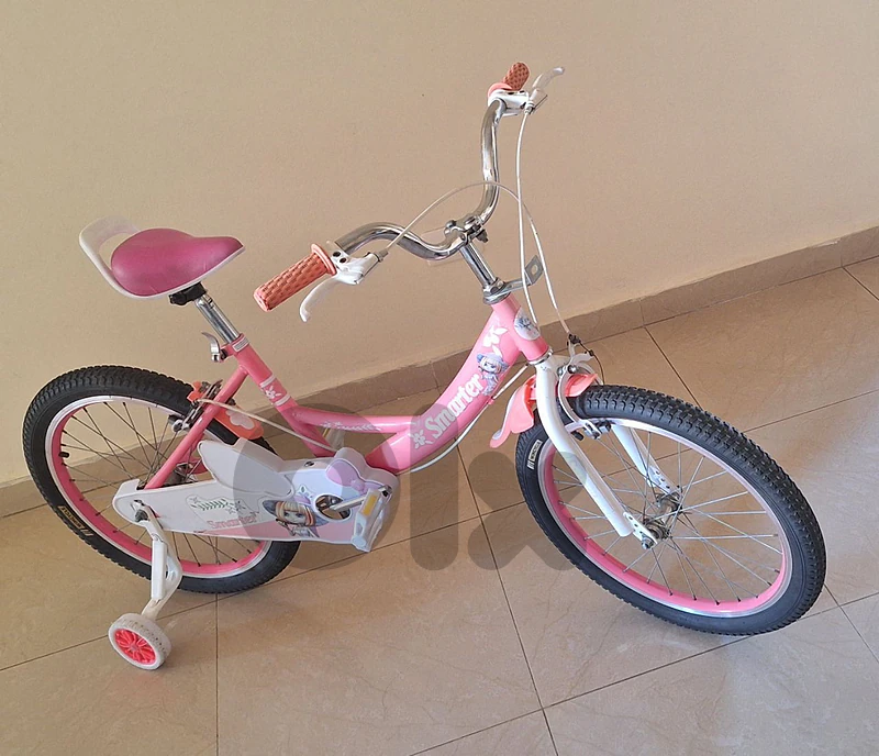 بسكليت Smarter جديدة ب 40 $