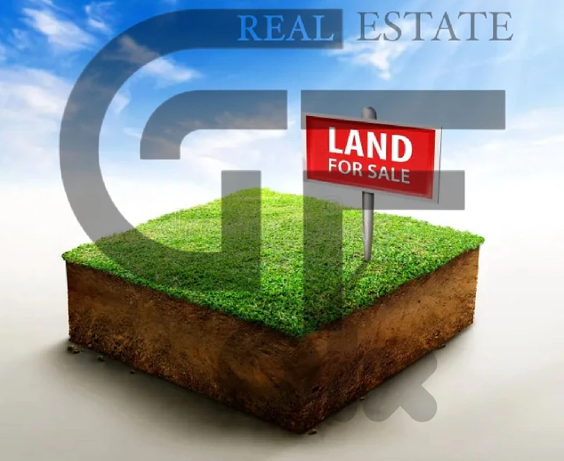 Partnership Land in Monteverde