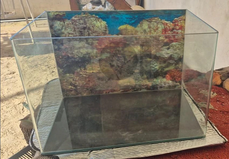 Aquarium and accessories
