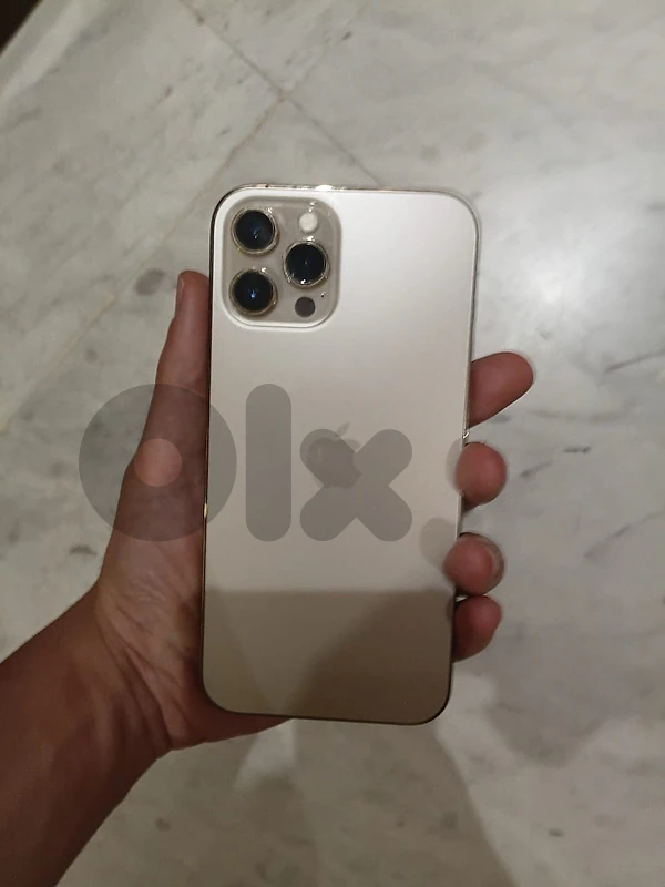 iphone 12 pro max 256 gb
